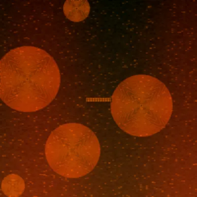 澳洲10极速赛车火焰轮胎图标